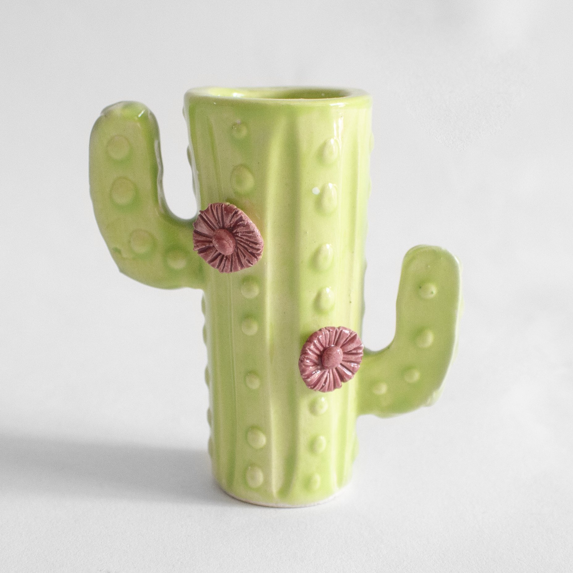 Tequilero cactus - Imagen 4