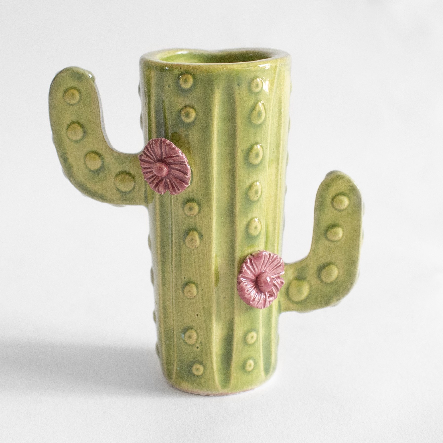 Tequilero cactus - Imagen 2