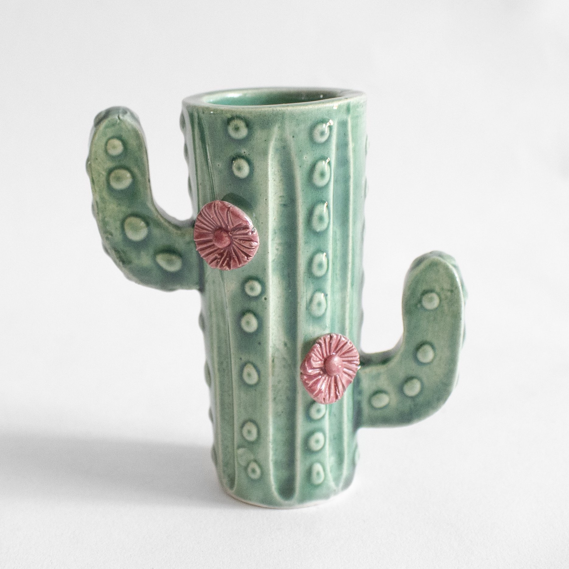 Tequilero cactus - Imagen 3